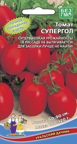 Томат СУПЕРГОЛ В рассаде не вытягивается! Чертовски урожайный! Для засолки лучше не найти!