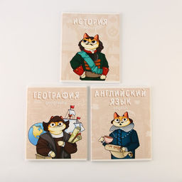 Тетради предметные, 48 л., А5, набор из 3 шт., «КОТ»