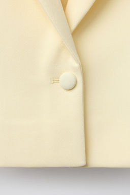 BLAZER APLIQUES / Amarillo pastel - Zara фото 4