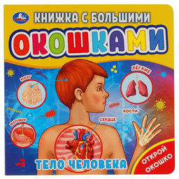 Книжка с окошками на картоне 190*190мм "Тело человека" (ш/к45724, 318156) 10стр.