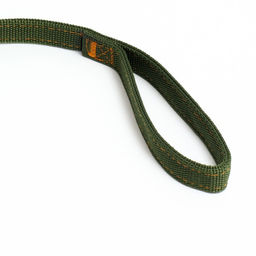 Поводок двухслойный с усиленным карабином, 2 м х 2 см, зелёный - Пижон фото 3