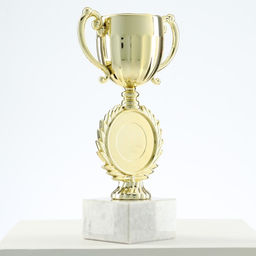 Кубок под нанесение, наградная фигура, золото, подставка камень, 17×9.5×5 см