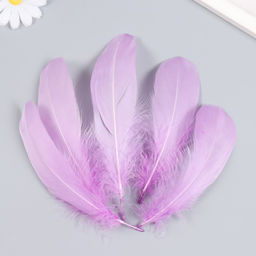 Набор декоративных перьев 160-190 мм (5 шт), сиреневый