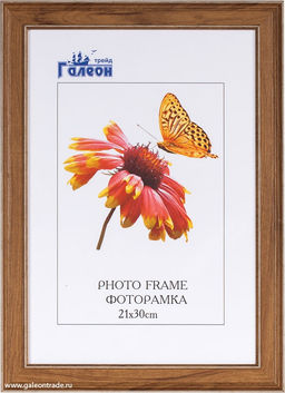 Фоторамка 21х30 / ZR8210H-222411 /уп10 - ГалеонТрейд фото 2