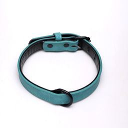 Ошейник с выносным кольцом Мона, 42 х 2 см, мятный - Пижон фото 2