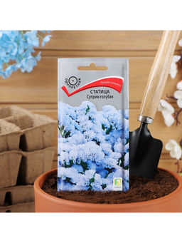 Набор семян Статица "Суприм голубая", 5 шт.
