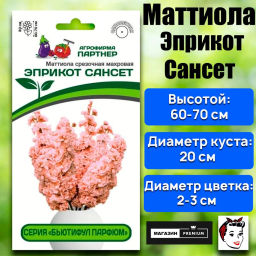 Маттиола срезочная махровая Бьютифул Парфюм Эприкот Сансет