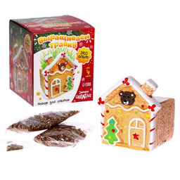 Набор для опытов Выращиваем травку, домик - Эврики фото 11