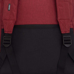 RQL-417-8 Рюкзак - Grizzly фото 47