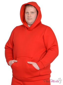 Толстовка Модель №843 размеры 44-84