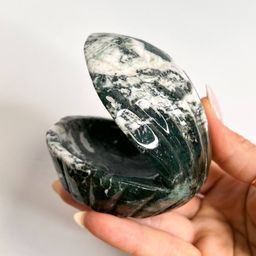 Морской Гребешок из Агата мохового