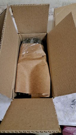 Ромашка садовая