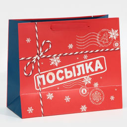Пакет подарочный новогодний ламинированный «Посылка», ML 27 х 23 х 11.5 см