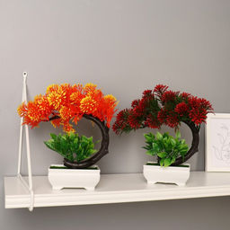 Бонсай в горшке «Селагинелла африканская», 10×20 см, МИКС