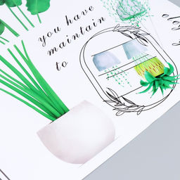 Наклейка интерьерная цветная «Комнатные растения», 60×90 см