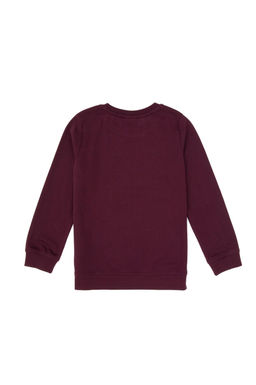 Erkek _ocuk Bordo Bisiklet Yaka Sweatshirt - U.s. polo assn фото 2