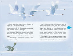 Гадкий утенок (+ музыка А. Вивальди)