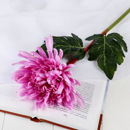 Цветы искусственные «Астра пионовидная», 17×63 см, сиреневые