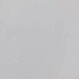 Пергамент флористический «Момент счастья», 0,68 х 10 м