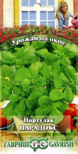 Портулак Парадокс 0,1гр (г)