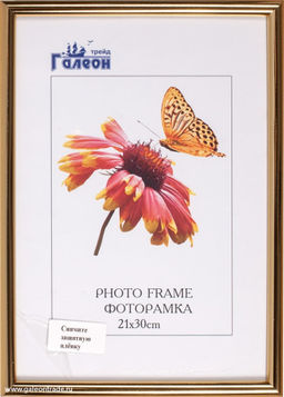 Фоторамка 21х30 с акриловым стеклом / 1302A-004C /уп10 - Галеонтрейд фото 2