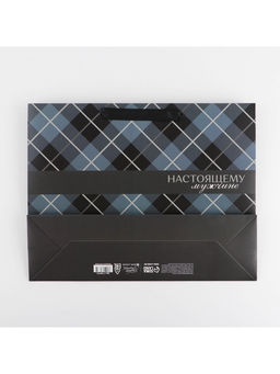 Пакет подарочный ламинированный, упаковка, Man, L 40?31?11.5 см