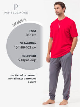 Костюм домашний (пижама) мужской PDK-370 - Pantelemone фото 21