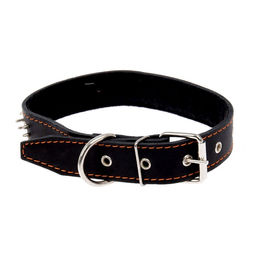 Ошейник кожаный на синтепоне Ёж, 69 х 3.6 см, ОШ 45-60 см, чёрный - Пижон фото 2