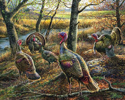 Картина по номерам на холсте и подрамнике 40х50 см