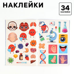 Обучающий набор Тело человека, рамка-вкладка и книга с наклейками - Лесная мастерская фото 4