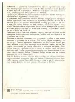 Открытка Фасоль