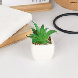 Цветочная композиция Кактус / FA2890 /уп 12/192/