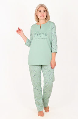 Пижама Алексис П-104Б (46-60) футер с начесом