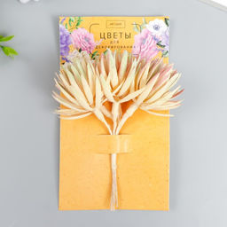 Декор для творчества «Игольчатая астра» 1 букет=6 цветков карамельный 4×13 см