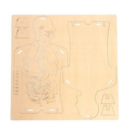 Набор для опытов Строение тела, 24 элемента - Эврики фото 4