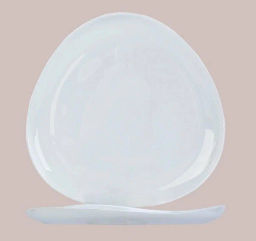 Тарелка обеденная Вайт 25,5 см арт.RLP100X /МФК/  фото 5