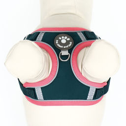 Комплект Sport+, XS, поводок 120 x 1,5 см, ОШ 37-39 см, ОГ 41-46 см, вес животного 4-6 кг, зелёный - Пижон фото 8