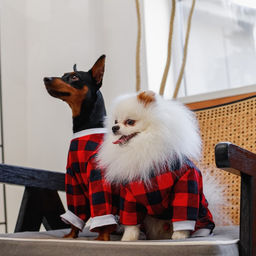 Костюм для животных красно-черный в клетку, S (ДС 31, ОШ 32-34, ОГ 47-51) - Пушистое счастье фото 7