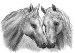 ФРЕЯ RPSB-0046 Лошади Скетч для раскраш. чернографитными карандашами 29.5 х 20.5 см 1 л. .