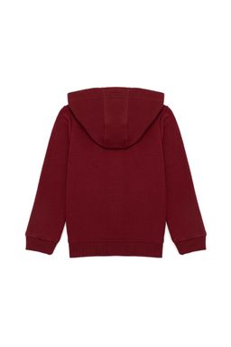 Толстовка с капюшоном для мальчиков Cherry Basic - U.s. polo assn фото 2