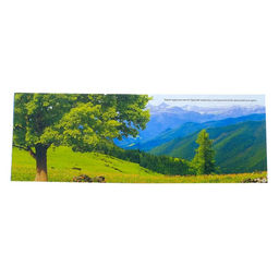 100 наклеек Животные России, 12 стр. - Буква-ленд фото 2