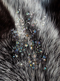 Картина 50х70 Волк / 143682 /уп 18/стразы - Галеонтрейд фото 3