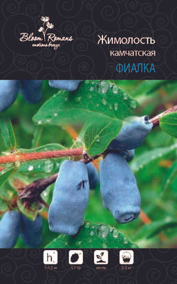 Жимолость Фиалка