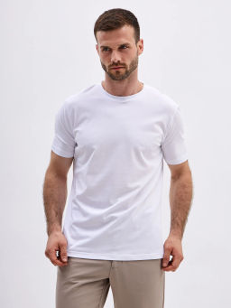 Футболка мужская короткий рукав GREG G145-KO-SA-S5000-N (белый)