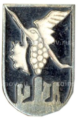 Значок Молдавия