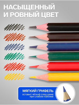 Цена за 10 шт. Карандаши Calligrata, цветные, 6 цветов, эконом, шестигранные, пластиковые