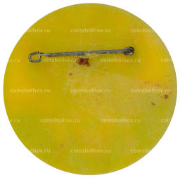 Значок Выставка ФРГ  фотография в науке и технике