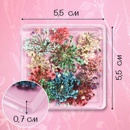 Сухоцветы для декора Яркость, в футляре, МИКС - Qf фото 4