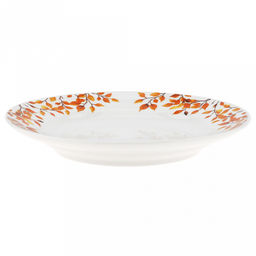 Тарелка мелкая фарфоровая "Ежик" д175мм, h25мм, гладкий край (Россия)