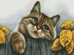 Вышивка крестиком 40х50см, Кот